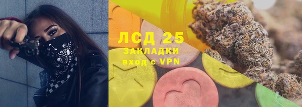apvp Инта