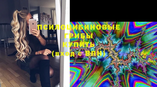 гидропоника Иннополис