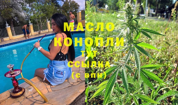apvp Инта