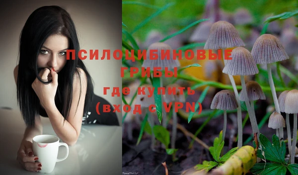 гидропоника Иннополис