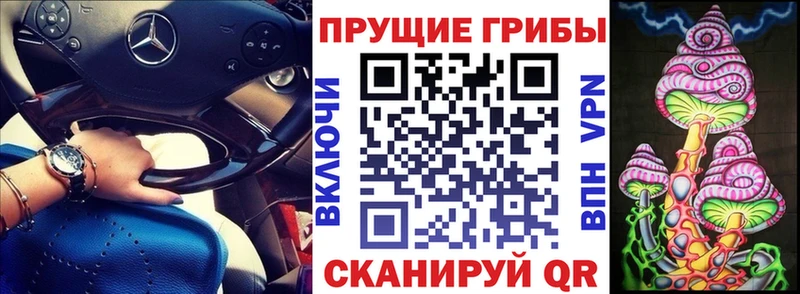 Купить  Владивосток  Галлюциногенные грибы прущие грибы 